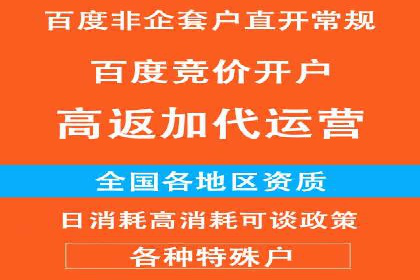SEM竞价推广案例：打造行业领先的广告投放策略